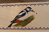woodpecker