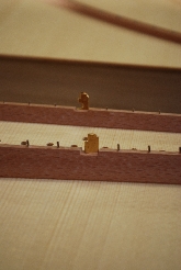 transpositionplates